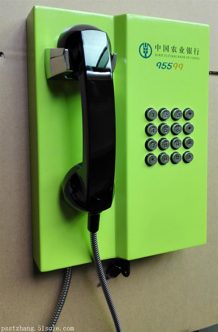 公司图片(100张)