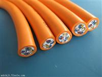 硅橡胶耐高温信号屏蔽电缆DJGPGP