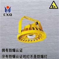 XQD8030A免维护LED防爆灯