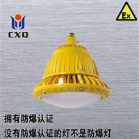 XQD8100BLED防爆灯