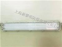 新黎明厂家直销BYS系列防爆全塑荧光灯