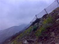 RXI150被动防护网厂家、价格