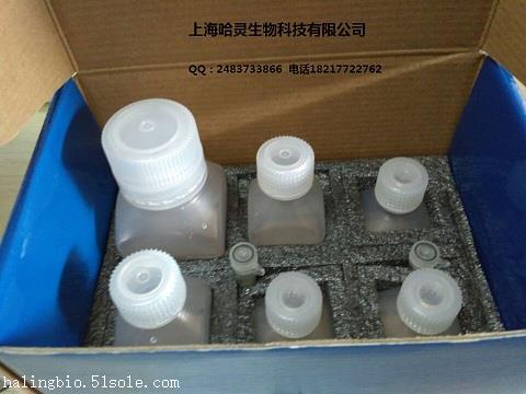 6石蜡切片tunel荧光法(fluorescein)测定试剂盒10/50