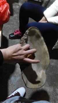 广安  新型扭扭车测试