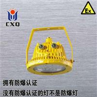 直销LED防爆防腐灯