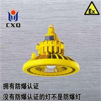 LED防爆节能灯