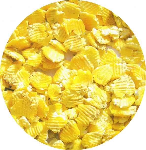 评价//好饲料/玉米压片 玉米蒸汽压片 蒸汽玉米压片饲料