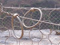 被动环形网RXI-025/RXI-050/RXI-075厂家批发价格