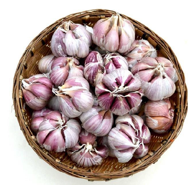 大瓣蒜福建大蒜批发