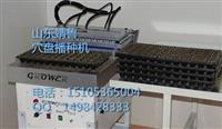 水果玉米育苗穴盘播种机