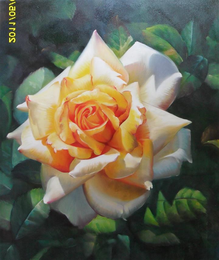 油画玫瑰 写实花卉 玫瑰花