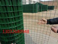丽江荷兰网 圈地用的绿网 波浪网
