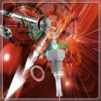 KSHC皇昌牌+DJY压入式电极+DJM外螺纹电极+电接点水位计电极