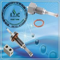 超纯氧化铝水位计电极*DJY*昆山皇昌*DJM*汽包电极*RDJ2000