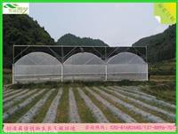 薄膜温室大棚建设*活动遮阳网温室大棚*芳诚厂家