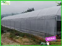 连栋温室大棚建设*开窗式温室大棚*简易温室大棚