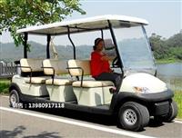 成都电动看楼车，绵阳电动看楼车