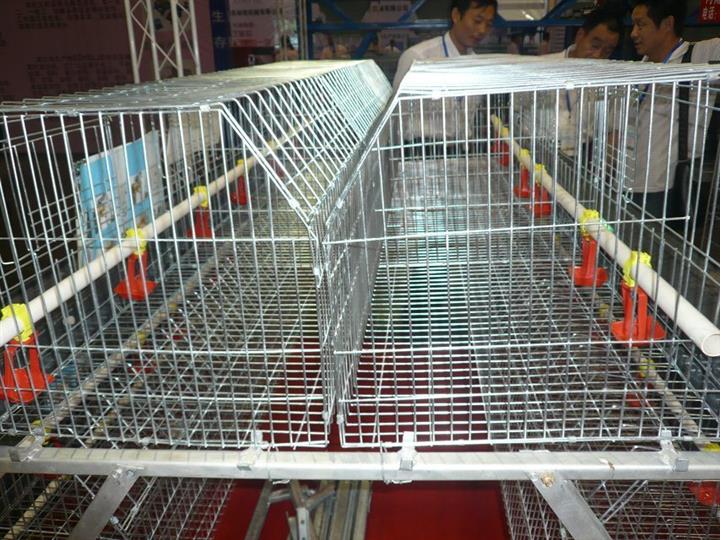 周口在哪买鸡笼鸡笼厂家鸡笼设备河南鸡笼厂家