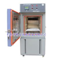 巽寮湾恒温恒湿试验箱