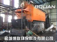 承德10吨以下燃煤锅炉改造生物质锅炉