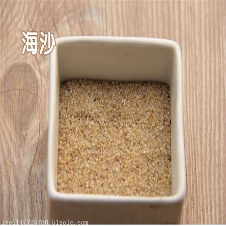 北京质量*好的天然海砂供应销售点