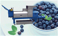 蓝莓榨汁机-蓝莓压榨机 图