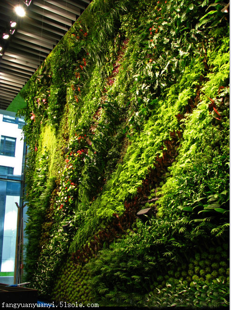植物墙绿化外墙室内绿植墙,园林景观规划设计,绿化养护绿化佛山市方瀚