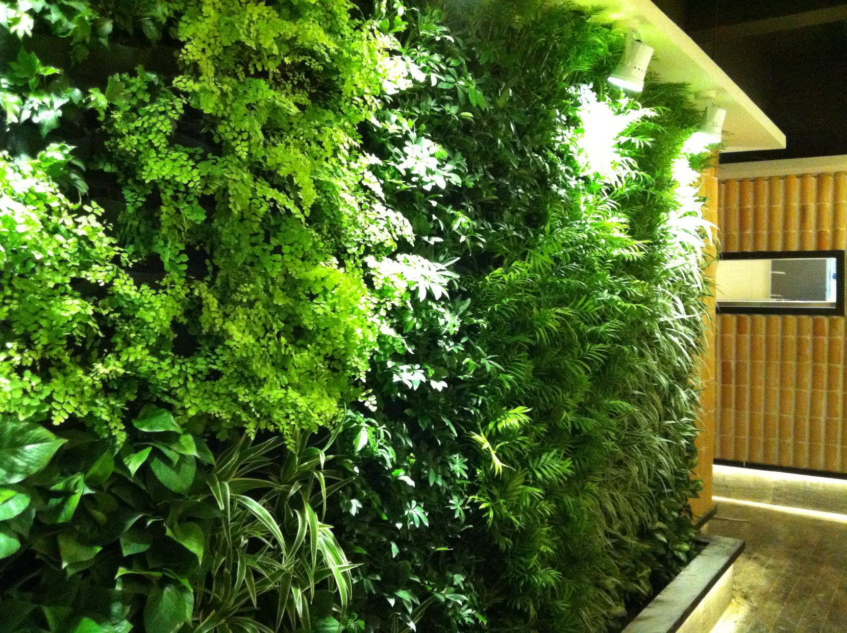 绿化装修设计公司哪家好广州美居植物墙