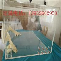 射线防护手套箱 医用无菌试验箱