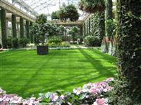 佛山专注园林绿化养护修剪