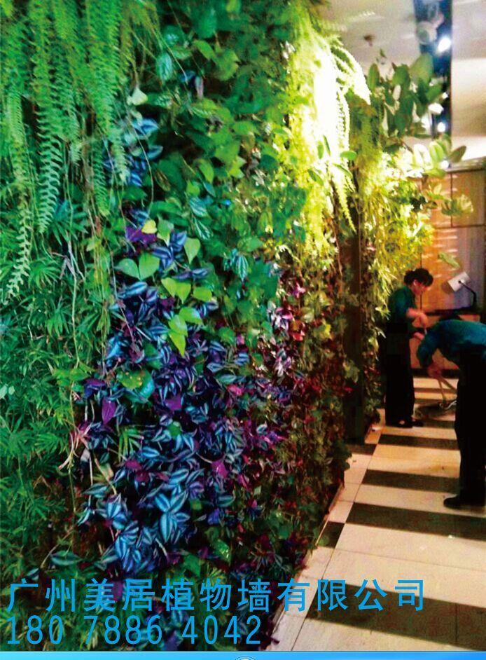 东莞市垂直绿化公司广州办事处